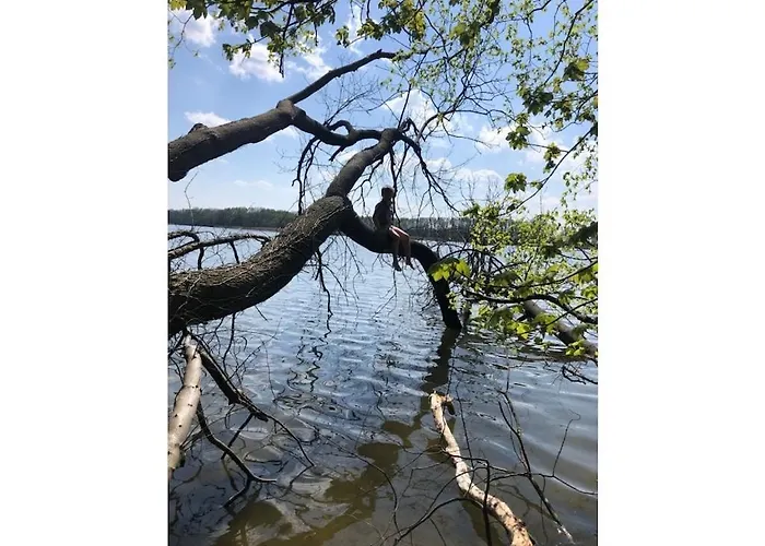 On Ruppin بيت للعطل Karwe